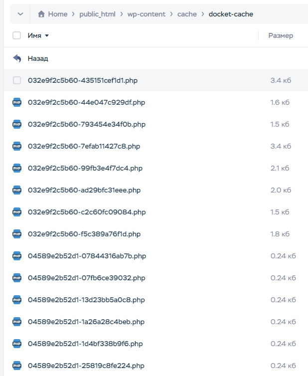 Image 00000138 - Постоянный кэш объектов в WordPress без Redis и Memcached