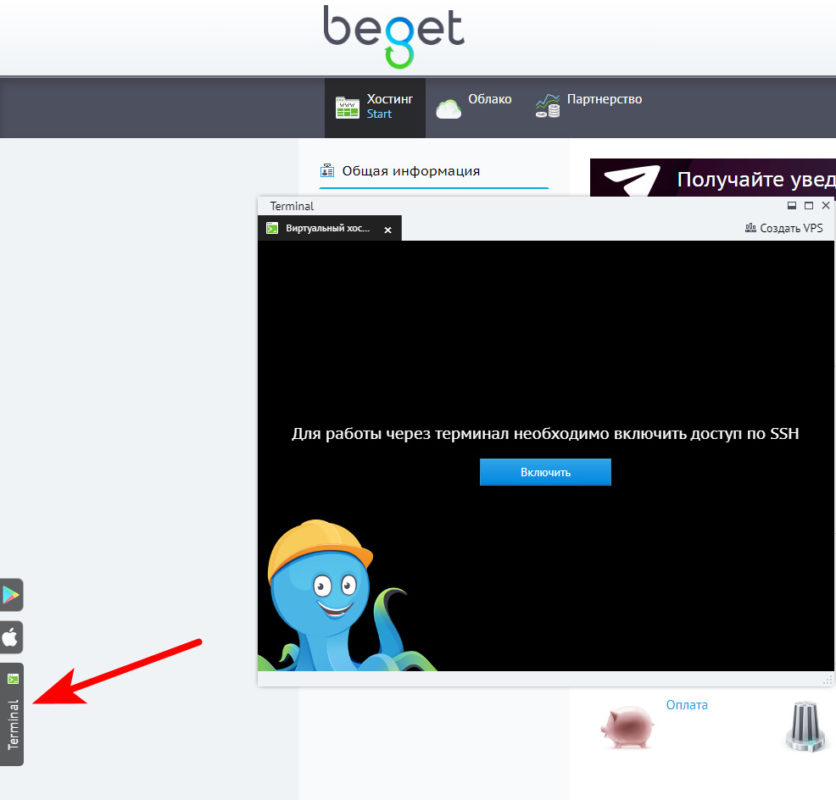 Как устанавливать плагины в WordPress? 18 терминал Beget