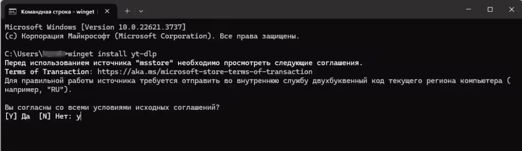 ScreenShot00028 1 - Как скачать видео или весь плейлист с YouTube? 