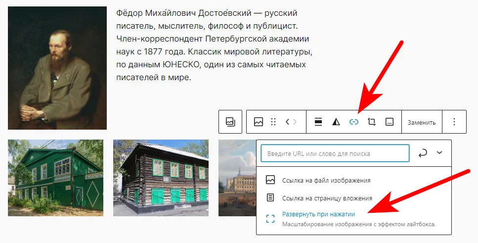WordPress: Как открывать изображение в лайтбоксе по клику? 10 делаем ссылку на лайтбокс
