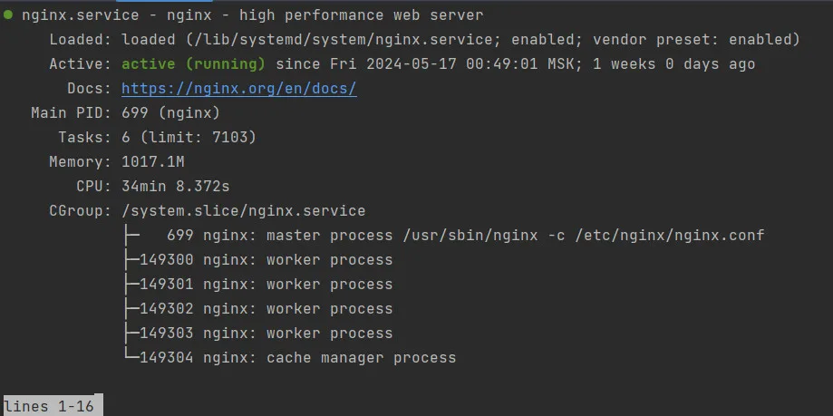 Как узнать версию Nginx на сервере и проверить его работу? 1 nginx запущен