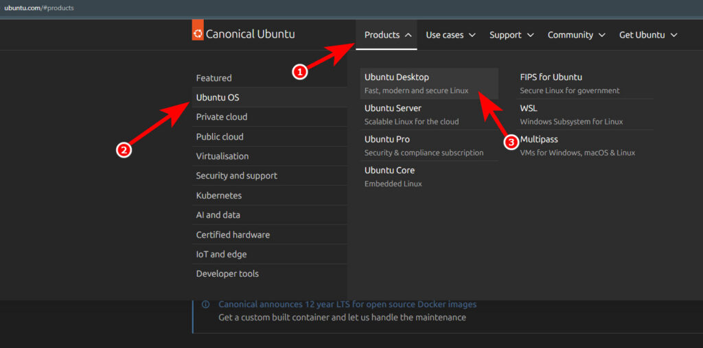 Как создать загрузочную флешку с Ubuntu на Windows 11 через командную строку 2 ScreenShot00169 - Как создать загрузочную флешку с Ubuntu на Windows 11 через командную строку
