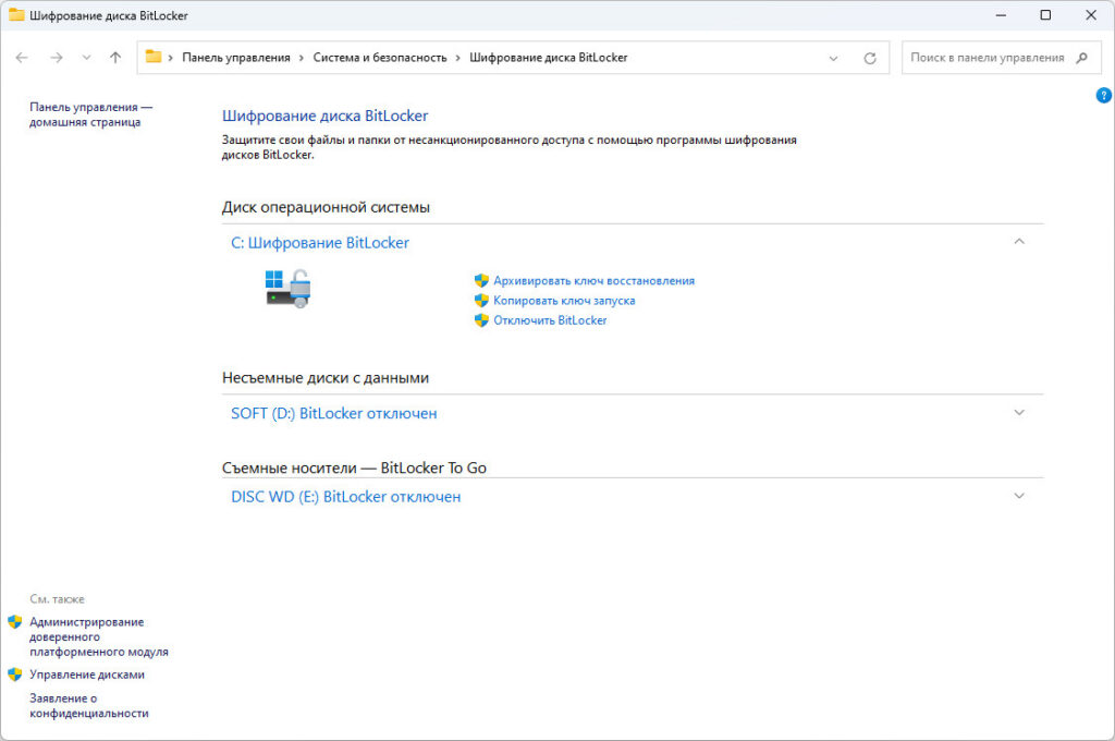 Как включить BitLocker без TPM и зашифровать диск в Windows 11? 15 screenshot 00015